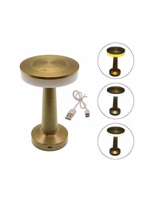 Metallic Decorative Lamp Gold