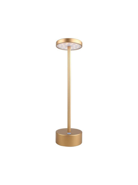 Darwin Dekorative Lampe Gold