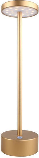 Darwin Dekorative Lampe Gold
