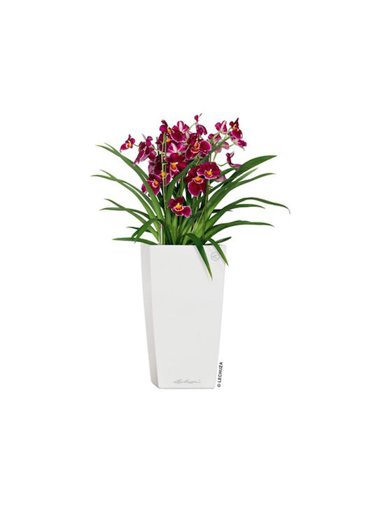 Lechuza Cubico Premium Self-watering Pot Plastic 40x40x75cm.