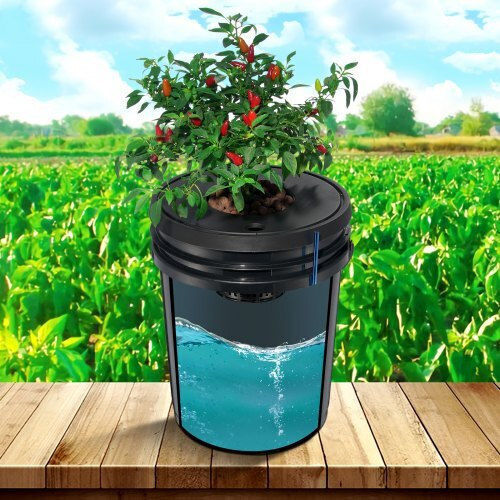 Vevor Hydroponic System Dwc 8 Buckets Air Pump Ssspxtyx8110vt55fv2