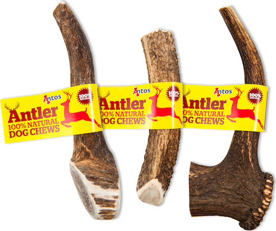 Antos Extra Large Corn pentru câini Rase mari din Cerb 270gr 20100548