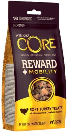 Wellness Core Reward + Treat Treat for Puppies Grain Free with Turkey 170gr