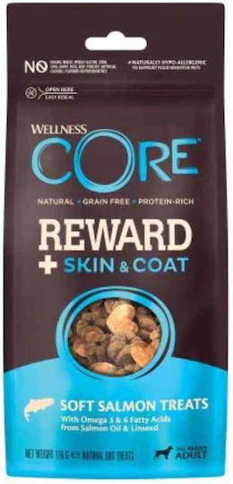 Wellness Core Reward + Skin and Coat Dog Treat Grain Free with Salmon 170gr