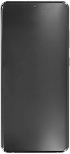 Samsung Screen with Touch Mechanism and Frame for Samsung Galaxy S21 Ultra 5G (SM-G998B) (Silver)