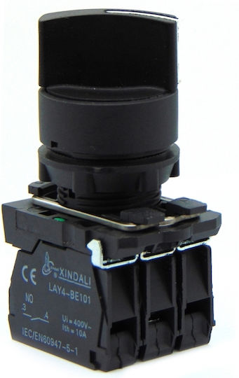 Φ22 0-1 2no+1nc Индустриален превключвател 03.001.0591
