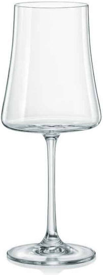 Crystal Bohemia Set of Glasses for White and Red Wine made of Crystal Stemmed 360ml 30pcs