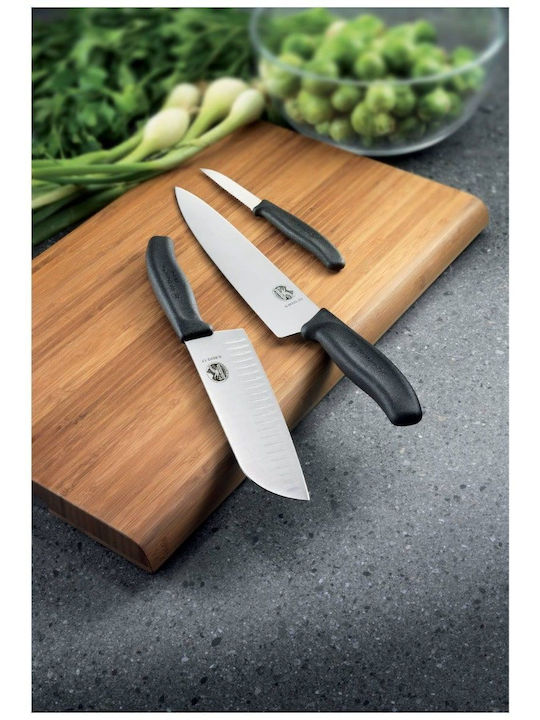 Victorinox Swiss Classic Knife General Use from Stainless Steel 10cm