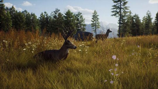Way of the Hunter Wild Expeditions Xbox Series X Game