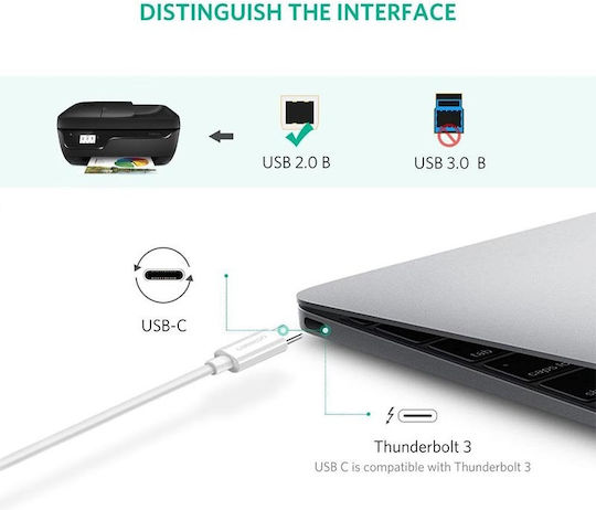 Ugreen US241 USB 2.0 Cable USB-C male - USB-B Λευκό 1.5m 40417