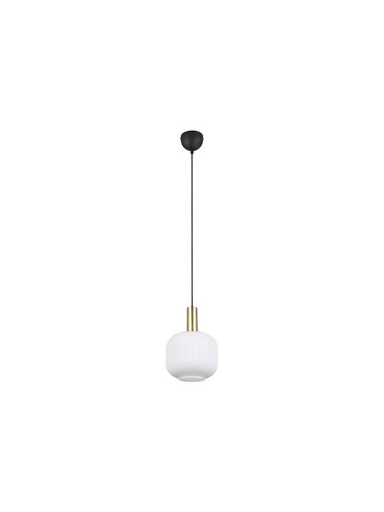 Trio Lighting Pendant Light 20x150cm