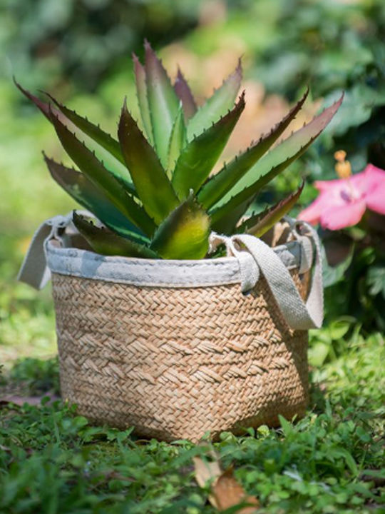 Artekko Planter Concrete Beige 16x16x14cm.
