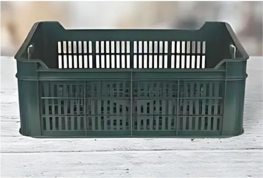 Κασπώ Πράσινο 10x40x15εκ.