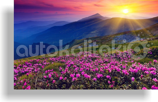 Orafol Πίνακας σε Καμβά