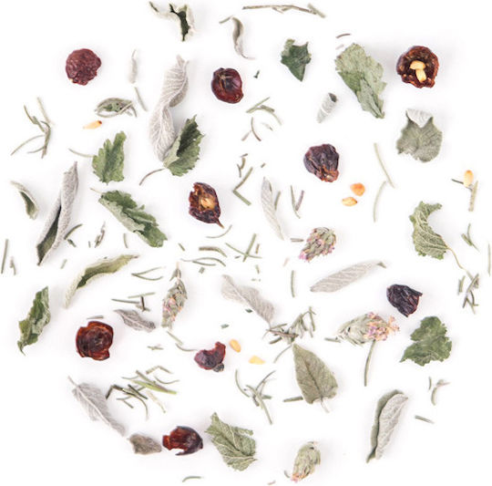 Rhoeco Urban Herbs Blend Organic Product 10 Bags