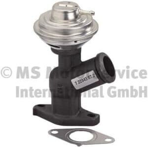 Pierburg Egr Valve