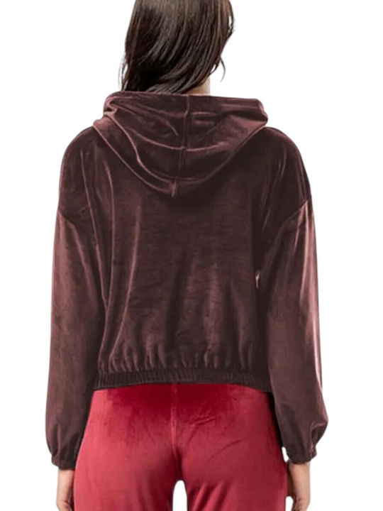 Damen Sweatshirt Kapuzen Braun