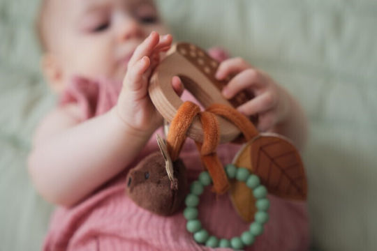 Wooden Rattle Forest 0m+ Baby To Love Bws-btl304867