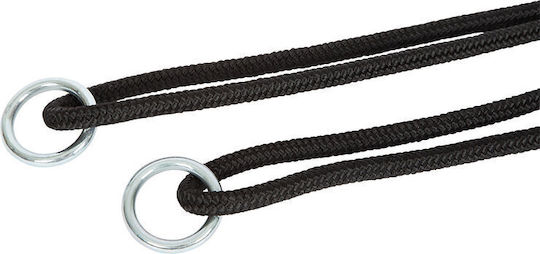 Legler Hanging Wooden Swing for 3+ Years Black
