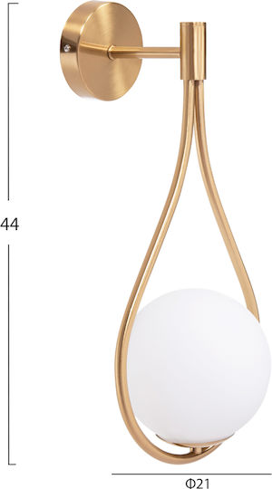 HomeMarkt Bais Wandleuchte Gold 21x4cm