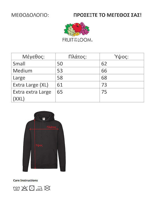 Fruit of the Loom Pokemon The Starters Pikachu Hoodie Pokemon Gray