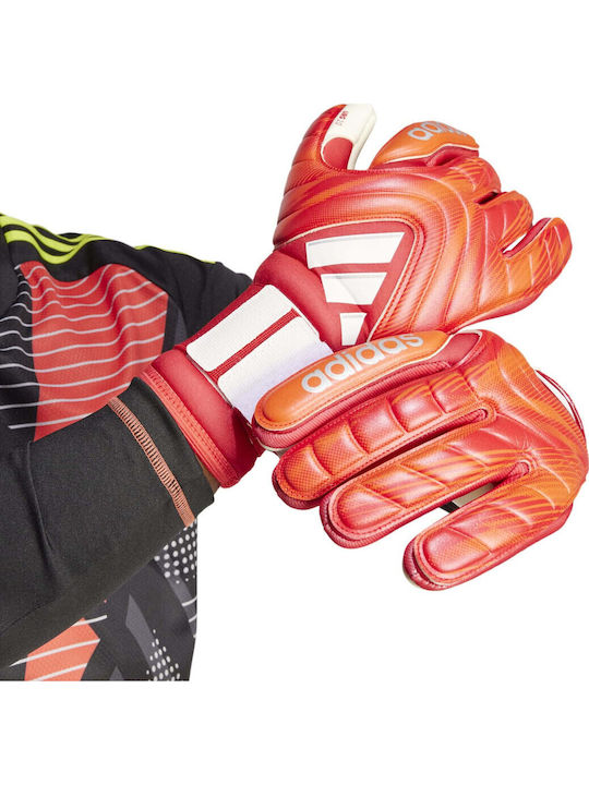 adidas Copa Gl Pro Γάντια Τερματοφύλακα Ενηλίκων Κόκκινα