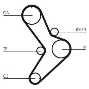 Contitech Timing Belt