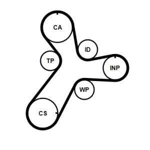 Contitech Timing Belt