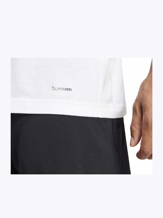 adidas Graphic Tee JD8252 Ανδρική Μπλούζα Λευκή