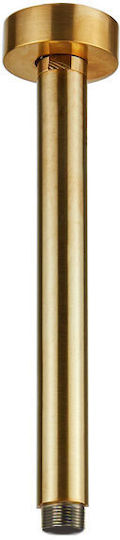 Vicario Brushed Gold Round Ceiling Arm 20cm Vicario Brushed Gold Round Ceiling Arm 20cm