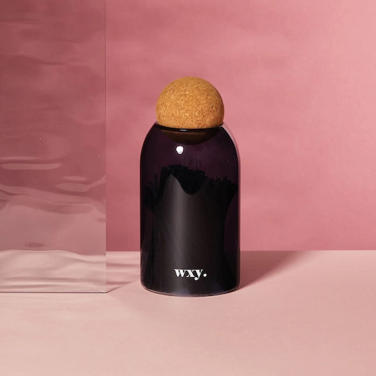 wxy. Мачове Сини