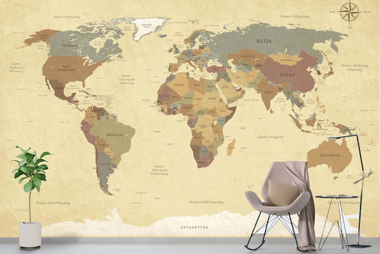 Decorațiune murală hartă mondială geografie 240x360