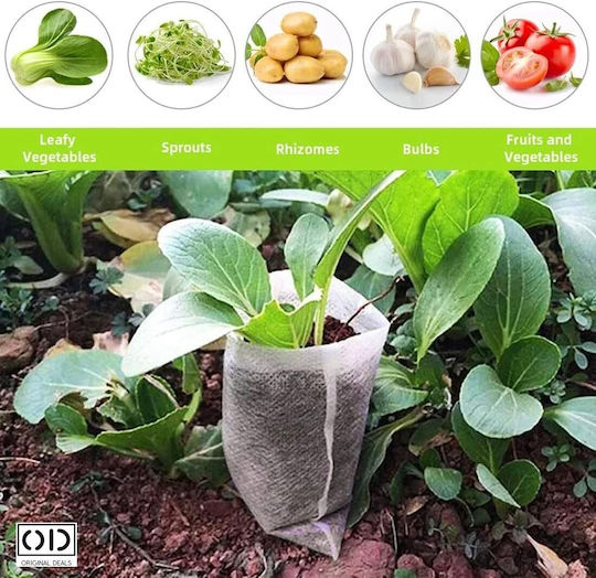 Seed Seedling Germination Bags Vegetables Fruits Premium Biodegradable Material Set 100 Pieces Size 12 X 10 Cm Original Deals