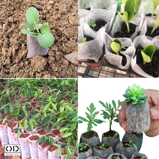 Seed Seedling Germination Bags Vegetables Fruits Premium Biodegradable Material Set 100 Pieces Size 10 X 8 Cm Original Deals