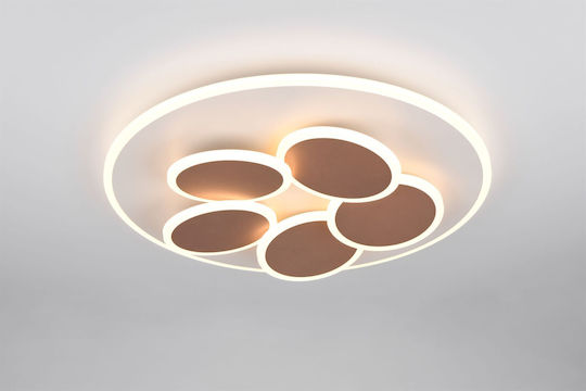 Trio Lighting 6532106 Trio Lighting 6532106