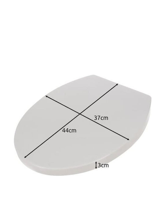 Ruhhy Plastic Toilet Seat White