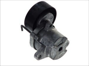 Tensioner Ina Drive Belt