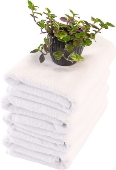 D Hotel Smooth Towel 50x100