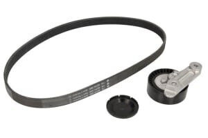 Ina Ribbed Belt Drive Set