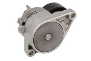 Tensioner Ina Drive Belt