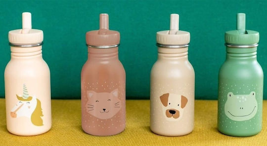 Trixie Mrs Cat Kids Water Bottle Stainless Steel Pink 350ml