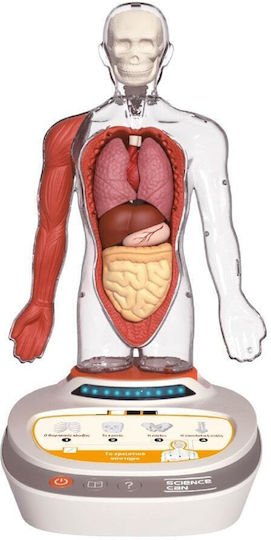 Desyllas Το Ανθρώπινο Σώμα Educational Game Knowledge for 8-12 Years Old
