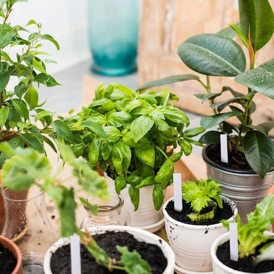 Pflanzenstecker Mehrzweck Gartenetiketten 100 Stück