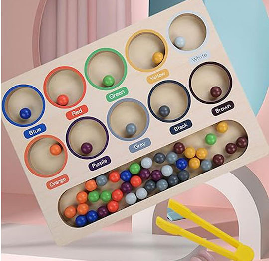 Jokomisiada Sorter Learning Colors Montessori Lernspiel Wissen aus Holz