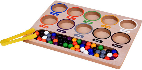 Jokomisiada Sorter Learning Colors Montessori Lernspiel Wissen aus Holz