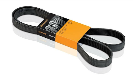 Transmission Belt Ford Focus Daw Dbw Contitech 6pk2000
