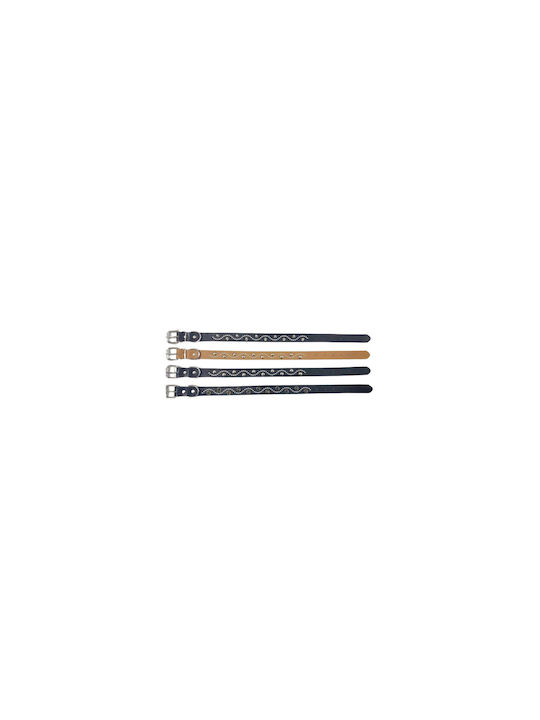Dog Collar 30mm x 56cm (Various Colors)