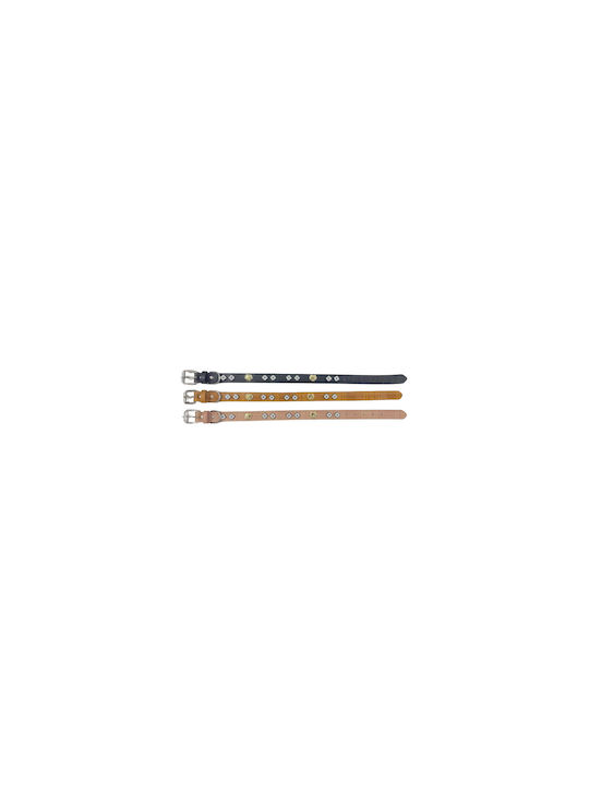 Dog Collar 20mm x 46cm 12pcs (Various Colors)
