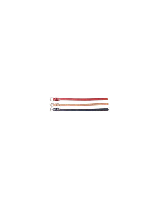 Dog Collar 30mm x 56cm 12pcs (Various Colors)