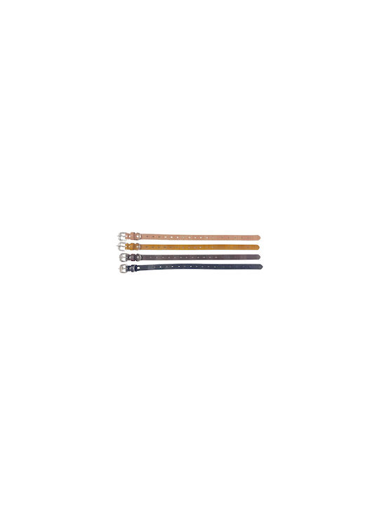 Dog Collar 30mm x 56cm 12pcs (Various Colors)